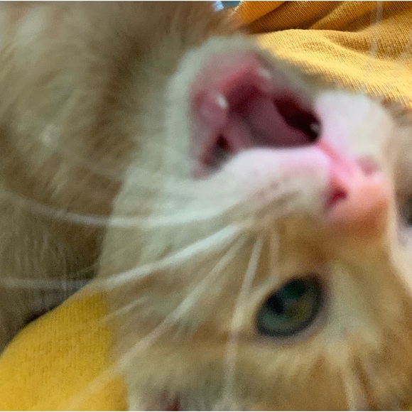 Meet your Posher, Saiki - Picture 1 of 1